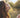 rosenrot-naturkosmetik_fettige-haut_sommer-1_web